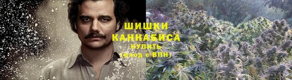 скорость Вяземский
