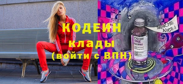 скорость Вяземский