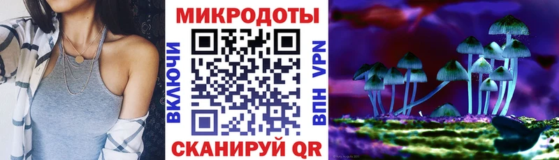 где купить   Новый Оскол  Галлюциногенные грибы Psilocybine cubensis 