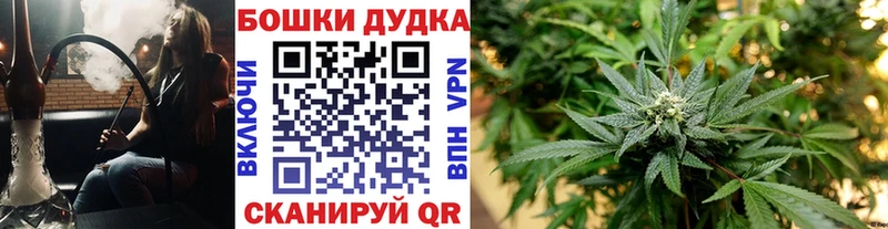 где можно купить наркотик  Новый Оскол  Бошки марихуана ГИДРОПОН 
